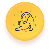 All your pets in one place.